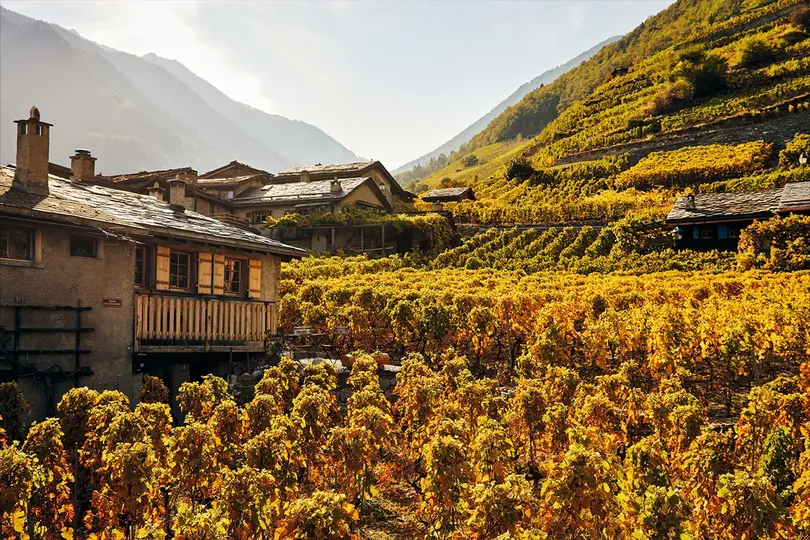 Ahead of the cuvee: why your clients will love Switzerland's burgeoning Valais wine region
