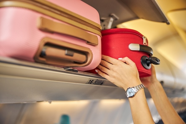 Aviation sector warns removal of baggage fees could see air fares rise