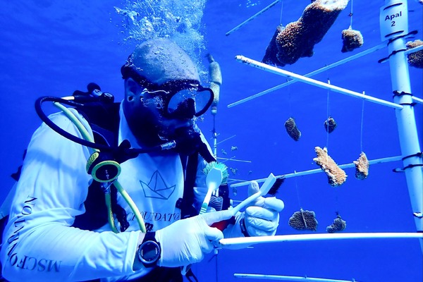 MSC Cruises publishes sixth annual sustainability report