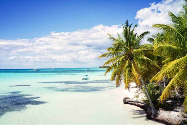 Travel Solutions commits to agents with Pocket Agent Rewards