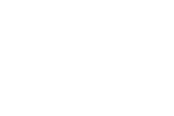 Co-sponsor: Blacklane