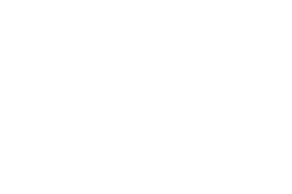 Co-sponsor: Marriott International Luxury Brands