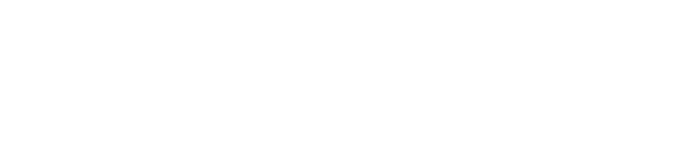 New Zealand Fest