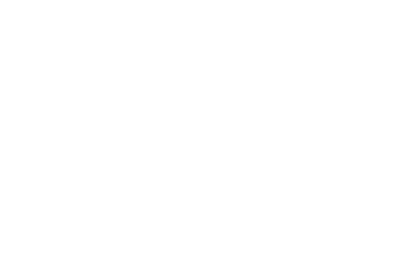 Wavemaker 